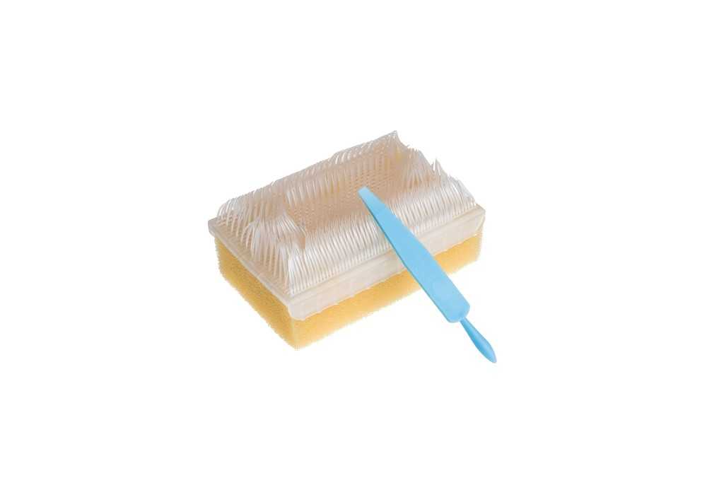 BROSSE CHIRURGICALE STERILE BROSSE CHIRURGICALE STERILE
