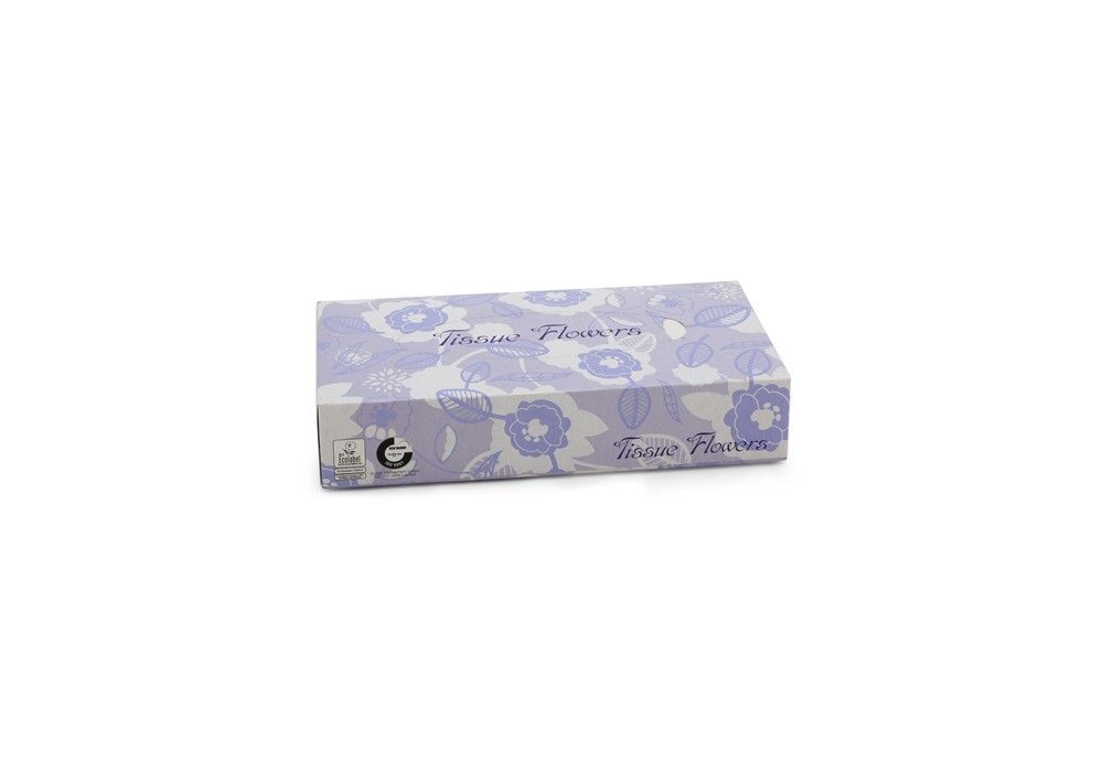 MOUCHOIRS BLANCS BOITE DISTRIBUTRICE 2 PLIS 21X20CM MOUCHOIRS BLANCS BOITE DISTRIBUTRICE 2 PLIS 21X20CM