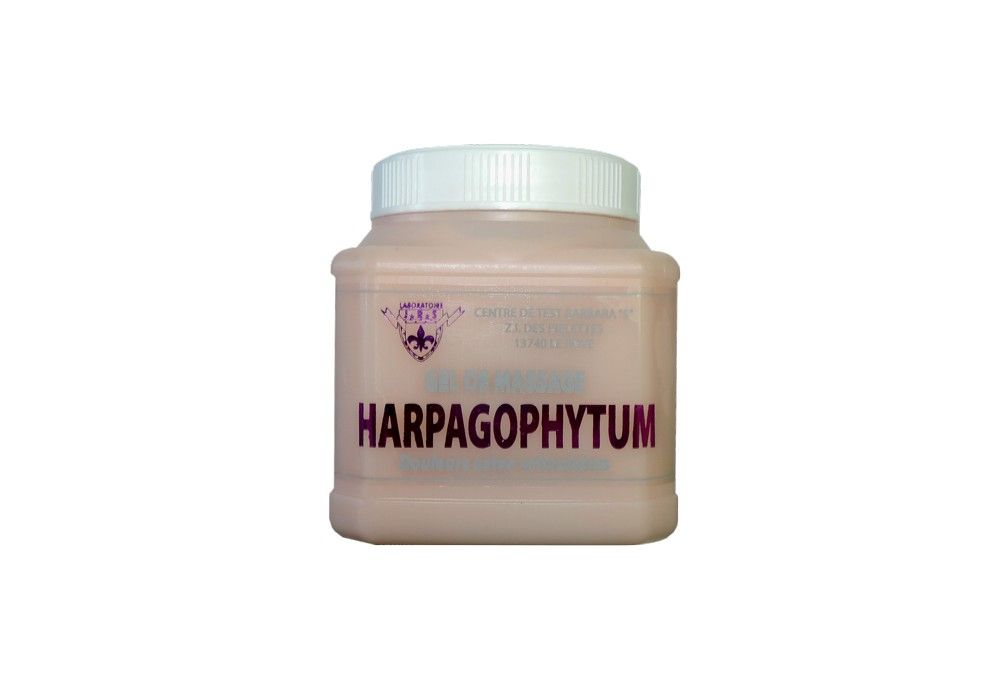 GEL HARPAGOPHYTUM PHYTO-ACTIF POT 250ML GEL HARPAGOPHYTUM PHYTO-ACTIF POT 250ML