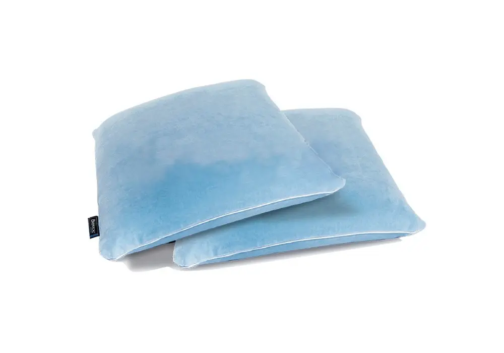 Oreiller traditionnel visco BIOTEX - 10 Oreiller traditionnel visco BIOTEX - 10